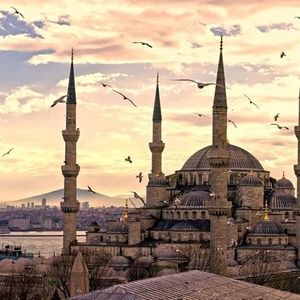 Meet your Posher, Naeem